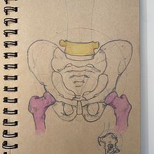 Mi Proyecto del curso: Dibujo anatómico para principiantes. Projekt z dziedziny Trad, c i jna ilustracja użytkownika María Sánchez - 22.09.2020