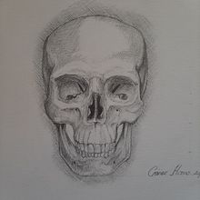 Dibujos a grafito Ein Projekt aus dem Bereich Traditionelle Illustration und Skizzenentwurf von Felipe Wolff - 22.09.2020