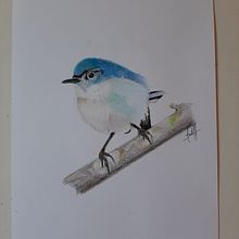 Ilustración a color. Drawing, Pencil Drawing, Realistic Drawing, and Traditional illustration project by Felipe Wolff - 09.22.2020