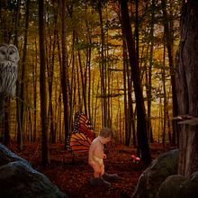 Mi Proyecto del curso: Secretos del fotomontaje y el retoque creativo. Photographic Composition, and Photograph project by Luisi Pucchio - 09.03.2020