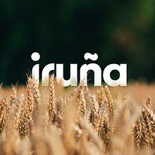 Brand Identity Concept - Iruña. Un progetto di Design di loghi, Br, ing, Br, identit e Design di Carlos Braga - 23.09.2020