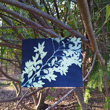 Cianotipia en el bosque. Design, and Photograph project by Lola Rodriguez - 09.24.2020