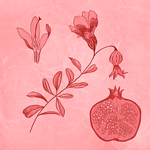 Granada botánica. Botanical Illustration, and Digital Illustration project by lura.jimenez.ga - 09.24.2020