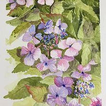 My project in Creation of Color Palettes with Watercolor course. Pintura em aquarela projeto de Elaine Hill - 13.03.2021