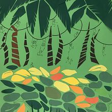 Jungle. Collage, and Education project by Lucie Thiam Bouleau - 09.26.2020