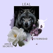 La historia de un lobo enamorado — Seer Design. Un proyecto de Diseño de moda, Estampación e Ilustración digital de Sofia Escauriza - 25.09.2020