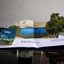 Díptico sobre Laguna de Conache. Un proyecto de Diseño gráfico y Encuadernación de Iván Portilla - 29.09.2020