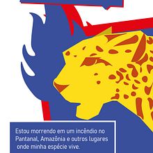 Meu projeto do curso: Fundamentos do design gráfico para ilustradores. Desenho digital, e Design gráfico projeto de Giullia Bardella - 29.09.2020