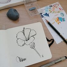 Reto Ilustración: 31 días, 31 dibujos de flores. Un proyecto de Dibujo, Dibujo a lápiz e Ilustración botánica de Valeria Visoso - 01.10.2020