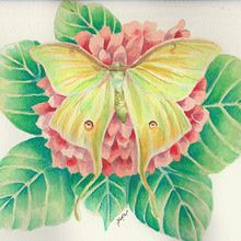 Mi Proyecto del curso: Técnicas experimentales de acuarela para principiantes . Watercolor Painting project by Yahann Romero - 10.02.2020