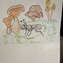 #DMSTK31dias31dibujos. Un proyecto de Ilustración infantil de Laura Chávez Doria - 02.10.2020