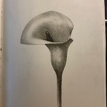 MrBenStudio JournalPages. Pencil Drawing, and Watercolor Painting project by BENJAMIN CORRALES - 10.03.2020