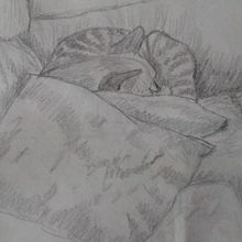 Gata en el sofá. Un proyecto de Bocetado, Dibujo a lápiz y Dibujo realista de Mariana Fernández Lozano - 21.10.2020