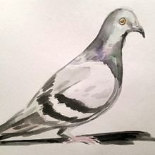 My project in Experimental Watercolor Techniques for Beginners course. Un progetto di Disegno di queer_ooloi - 23.10.2020