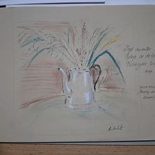 Bouquet in coffee pot, sketch. Botanical Illustration, and Creativit project by Arunas Beksta - 10.04.2020