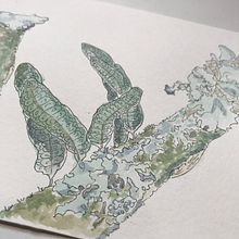 Caderno botânico em aquarela - Yukie. Projekt z dziedziny R i sunek botaniczn użytkownika Yukie Kabashima - 11.10.2020