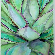 Succulents. Een project van  Beeldende kunst van Letícia Lago - 05.10.2020