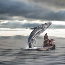 Montaje surealista . Fotografie de Fotóstica producciones - 10.06.2020