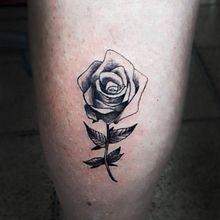 Rosa. Fine Arts project by Alexandre Junior - 10.06.2020