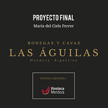 Bodegas y Cavas Las Águilas (unidad de negocio: Vinoteca Mendoza) | Introducción al community management. Communication, Graphic Design, Marketing, Content Marketing, Digital Marketing, Facebook Marketing & Instagram Marketing project by María del Cielo Ferrer Mangoni - 10.11.2020