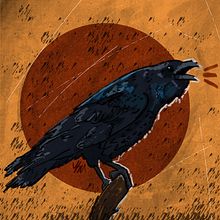 Crow. Digital Drawing, Digital Illustration, Digital Painting, Editorial Illustration, and Traditional illustration project by Yavuz Selim Ulun - 10.08.2020