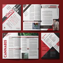 VÍNCULOS. Design, Poster Design, Digital Design, Graphic Design, and Editorial Design project by Paula Guillén - 10.09.2020