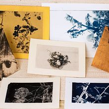 Mi Proyecto del curso: Cianotipia: técnica de impresión con luz. Un progetto di Belle arti, Artigianato, Stampa, DIY e Fotografia analogica di Elena Rodríguez Fajardo - 10.10.2020