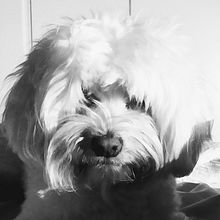 Retrato. Un progetto di Fotografia con smartphone di Ana Valderrama Cevallos - 10.10.2020