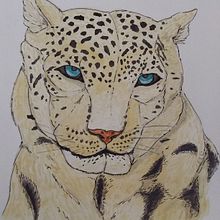 Meu projeto do curso: Técnicas experimentais de aquarela para principiantes . Watercolor Painting project by sherlockmang - 10.12.2020