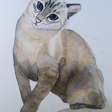 Mi gatito. Watercolor Painting project by clau_sg86 - 10.13.2020