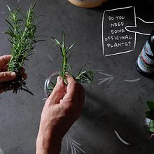 A casa di Eleonora - air bnb. Un proyecto de Fotografía de Irene Rosà - 13.10.2020