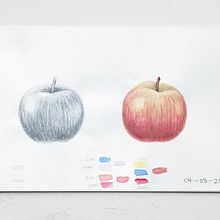Diario Naturalista. Traditional illustration, Botanical Illustration, and Watercolor Painting project by Javiera Videla - 03.07.2021