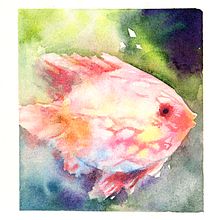 Peixe Ein Projekt aus dem Bereich Aquarellmalerei von Caroline Passos - 13.10.2020
