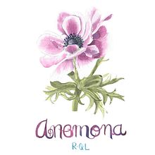Mi Proyecto del curso: Ilustración botánica con acuarela. Botanical Illustration project by Raquel Ruiz Pérez - 02.05.2021