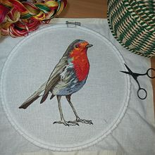 Mi Petírrojo terminado: Pintar con hilo: técnicas de ilustración textil. Embroider project by Navidad Alvarado Chung - 10.15.2020