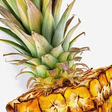 Pineapple cube. Un proyecto de Concept Art, Creatividad, Dibujo, Dibujo artístico, Dibujo digital, Dibujo realista, Diseño, Diseño 3D, Diseño digital, Diseño gráfico, Ilustración tradicional e Ilustración digital de Adan Gómez - 16.10.2020