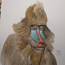 Mi Proyecto del curso: Técnicas experimentales de acuarela para principiantes . Traditional illustration project by Carme Cabal - 10.16.2020