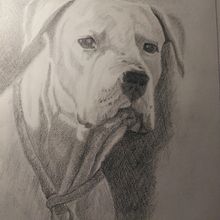 Titán. Lápiz sobre papel. Un proyecto de Dibujo a lápiz, Dibujo de Retrato y Dibujo realista de Mariana Fernández Lozano - 21.10.2020