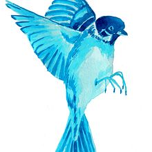 Mein Abschlussprojekt. Projekt z dziedziny Malowanie akwarelą, Trad, c, jna ilustracja,  Sztuki piękne, Ilustracja naturalist i czna użytkownika Hanni Serway - 19.10.2020