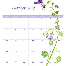 My project in Botanical Illustration with Watercolors course. Ilustração botânica projeto de Elaine Hill - 19.10.2020