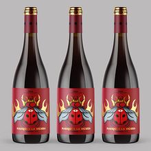 Packaging / Label / Etiqueta / Wine / Vino / Mariquita la Viciosa. Br, ing, Identit, Artistic Drawing, Art Direction, Design, Product Design, Graphic Design, Traditional illustration, Digital Illustration, and Packaging project by Ion Benítez - 10.19.2020