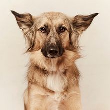 Lobi. Een project van Fotografie van Alba Metzger - 19.10.2020