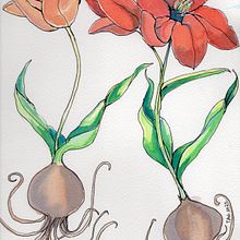 My project in Botanical Illustration with Watercolors course. Un proyecto de Ilustración botánica, Ilustración con tinta y Pintura a la acuarela de Tamara - 19.10.2020
