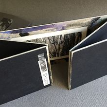 Cartón de desecho: tríptico origen de las bases de los 'Arboretums'. Bookbinding project by Susana Dominguez Martin - 10.21.2020