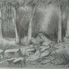Paseo por el bosque. Un proyecto de Bocetado, Dibujo a lápiz, Dibujo realista y Sketchbook de Mariana Fernández Lozano - 21.10.2020