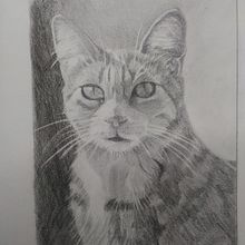Mirada felina. Un proyecto de Dibujo anatómico, Dibujo artístico, Dibujo de Retrato y Sketchbook de Mariana Fernández Lozano - 21.10.2020