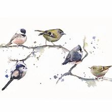 Birds on a branch. Watercolor Painting project by Sarah Stokes - 10.22.2020