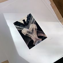 Salmantinus. Photograph, and Screen Printing project by Amazink - 10.23.2020