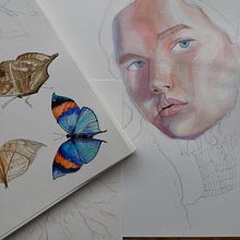 Indischer Blätfalter. Een project van  Tekening y  Portrettekening van Silvia T - 23.10.2020