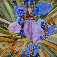 My project in Botanical Illustration with Watercolors course. Un proyecto de Ilustración botánica de Victoria Beresi - 24.10.2020